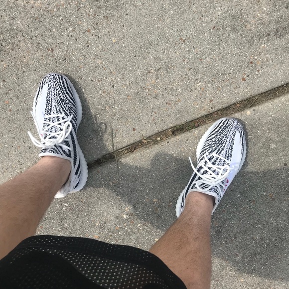 yeezy zebra on feet